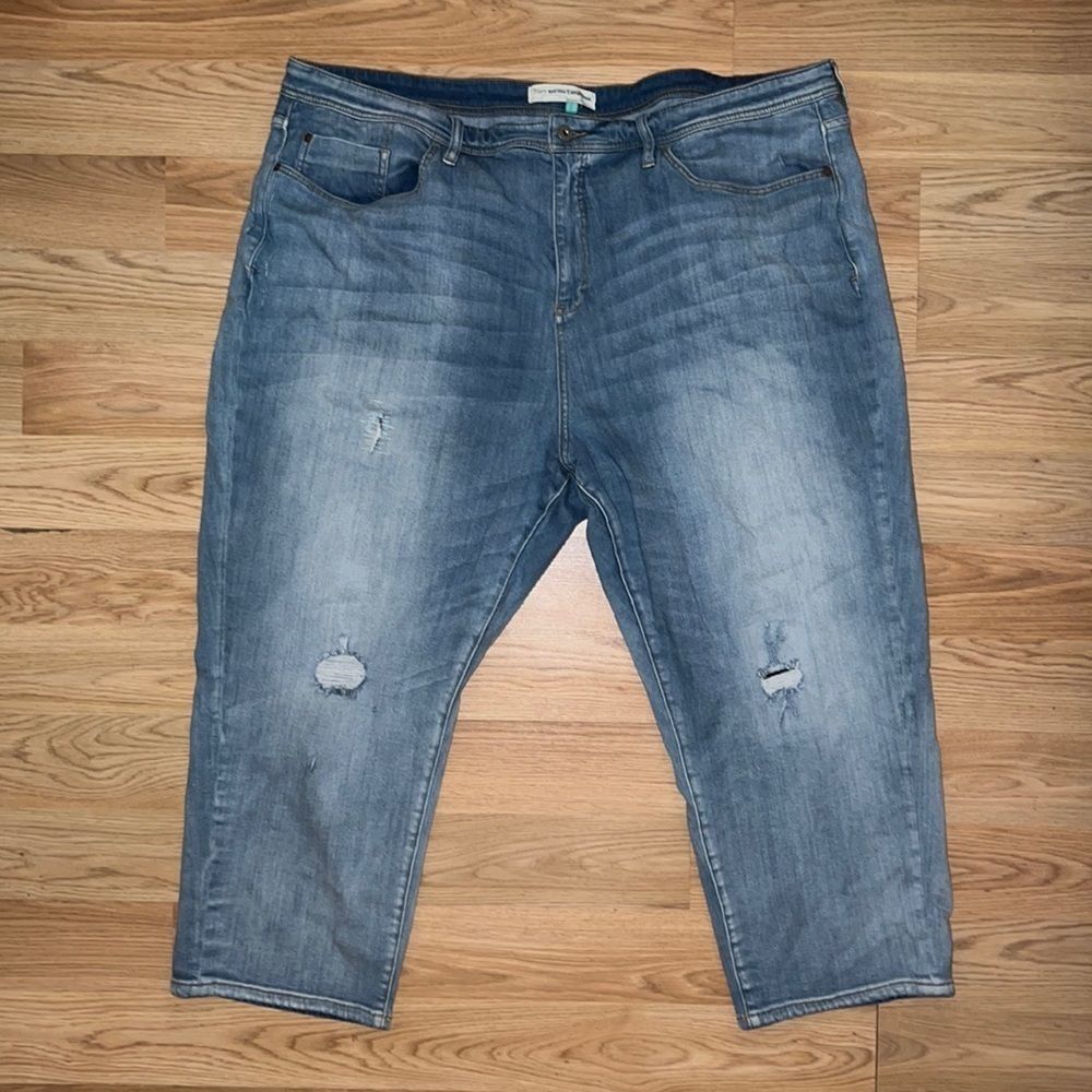 Anthropologie Pilcro and the Letterpress plus size crop jeans size 26W